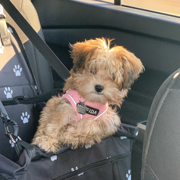 Meet your Posher, Lisa - Picture 2 of 4